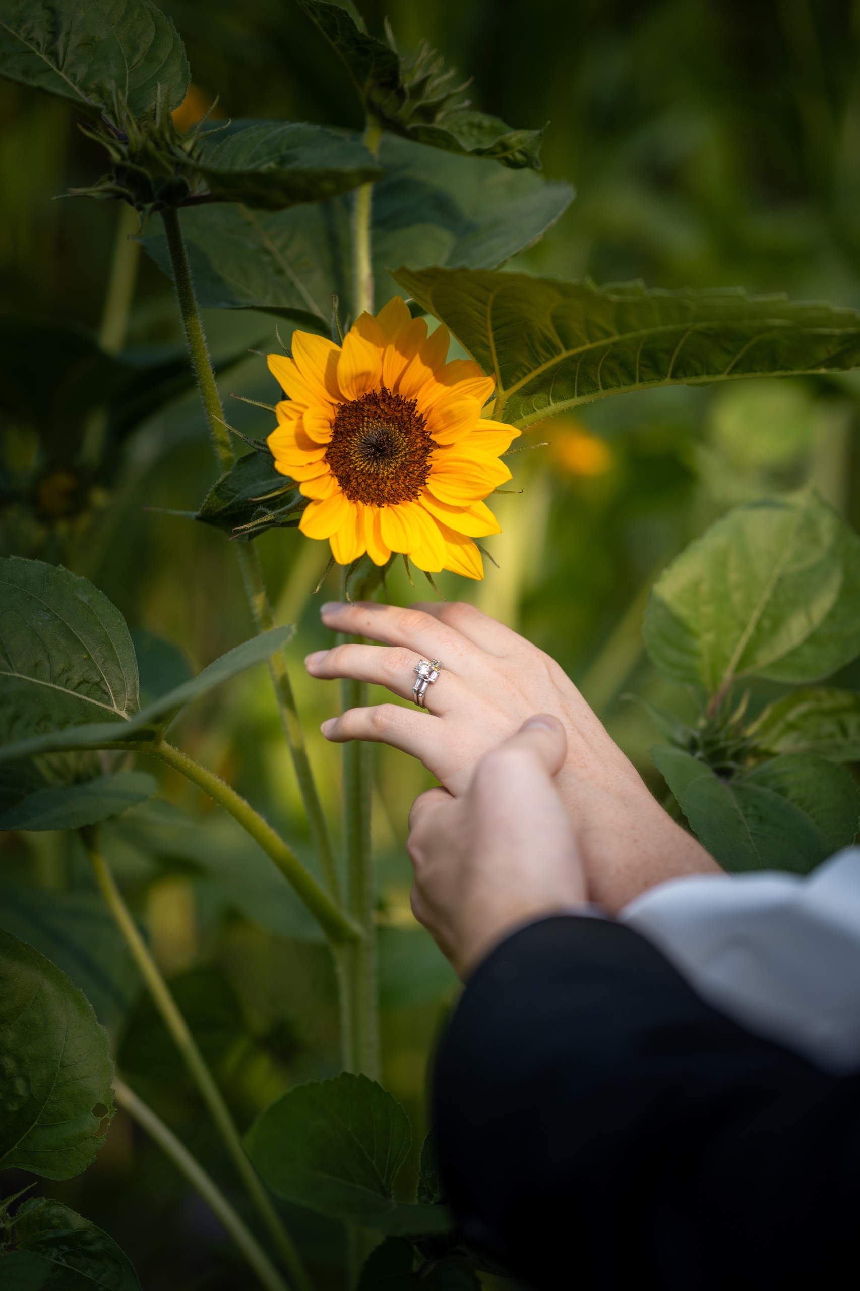 Engagement portrait with intimate editorial composition